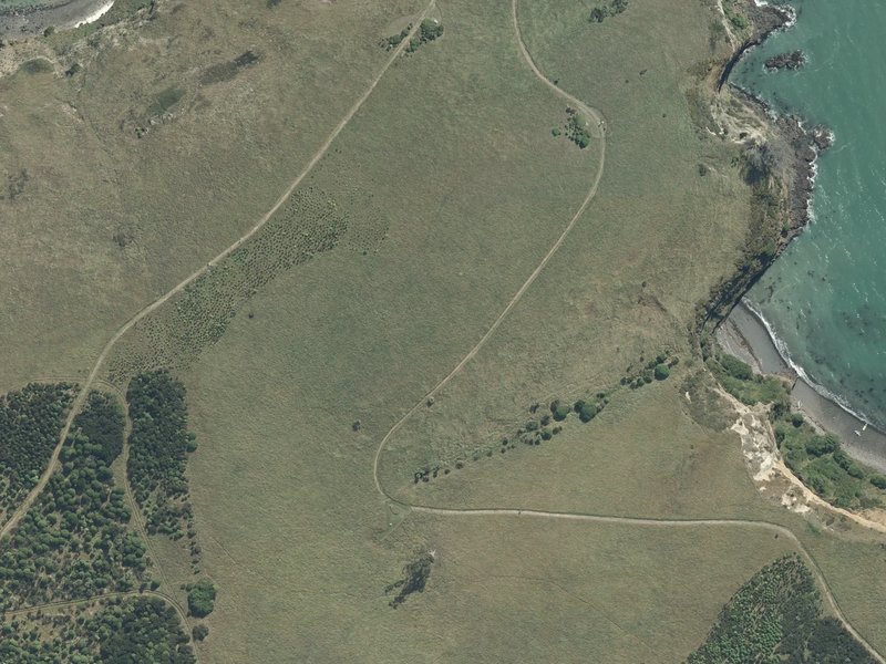 aerial view of Ōtamahua / Quail Island and the ground around it