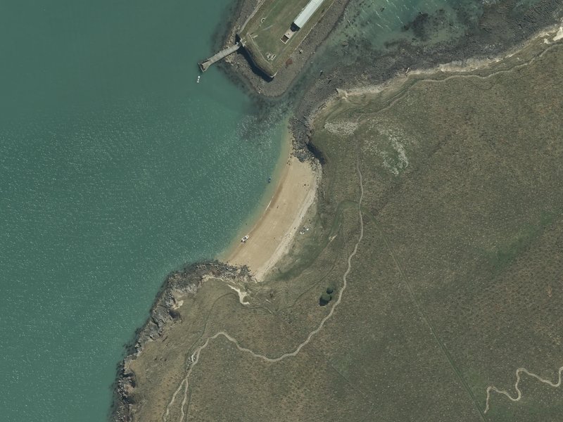 aerial view of Shelly Cove and the ground around it