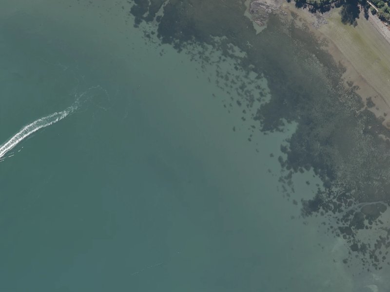 aerial view of Childrens Bay and the ground around it