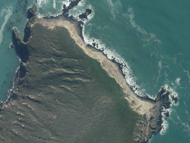 aerial view of Gordon Point and the ground around it