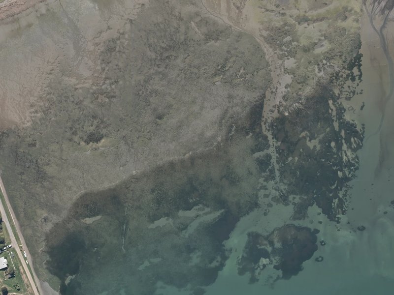 aerial view of Head of Bay and the ground around it