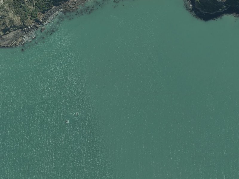 aerial view of Livingstone Bay and the ground around it