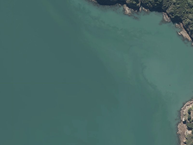 aerial view of Lushington Bay and the ground around it