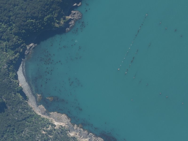 aerial view of Mat Wight Bay and the ground around it