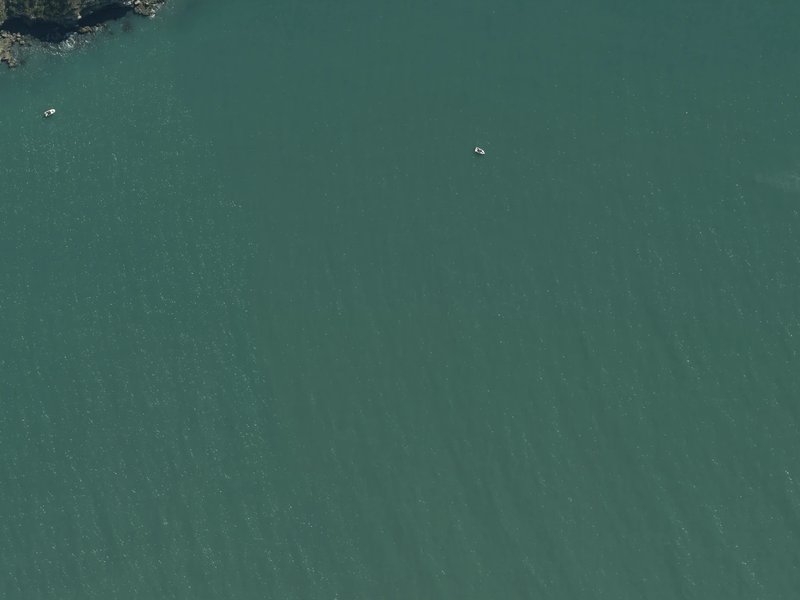 aerial view of Mechanics Bay and the ground around it