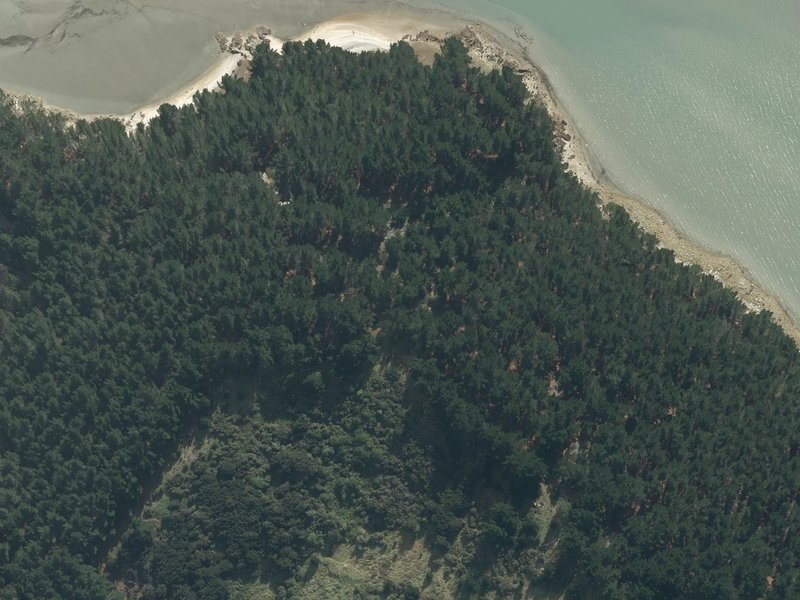 aerial view of Moepuku Point and the ground around it