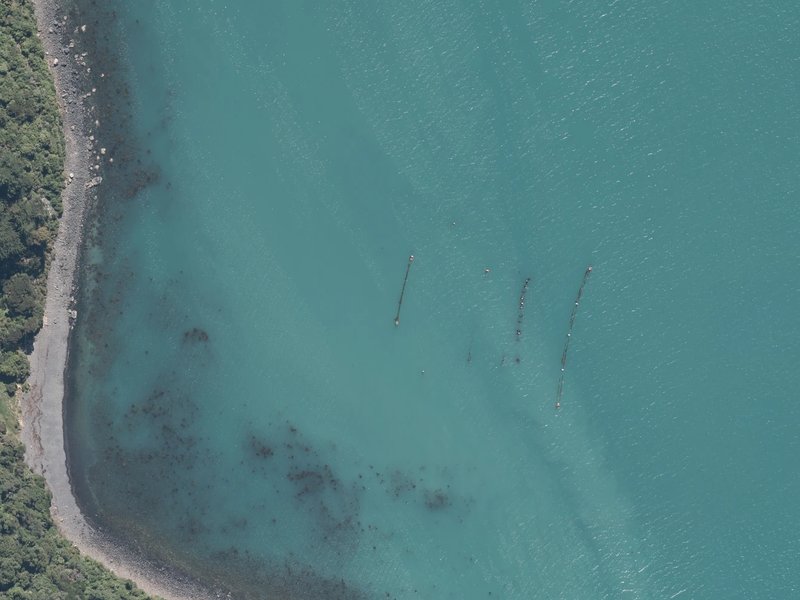 aerial view of Ōhinepaka Bay and the ground around it