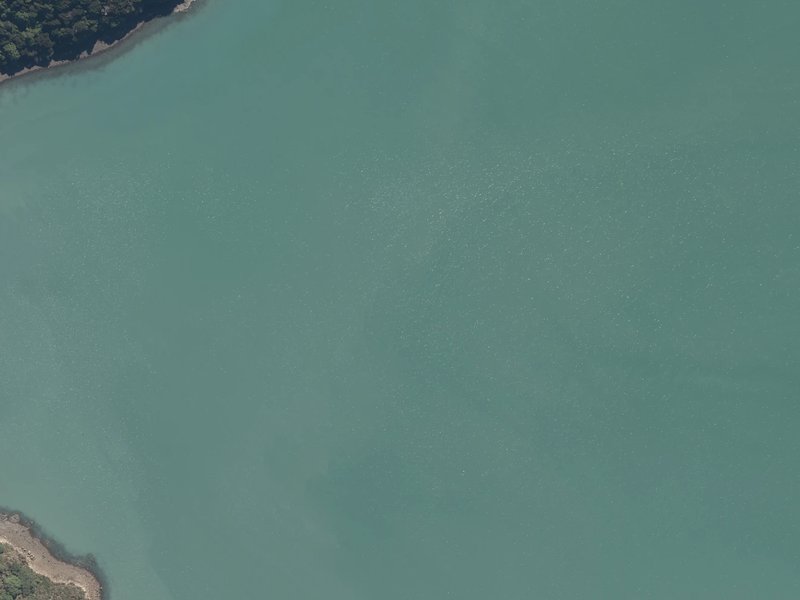 aerial view of Petit Carenage Bay and the ground around it