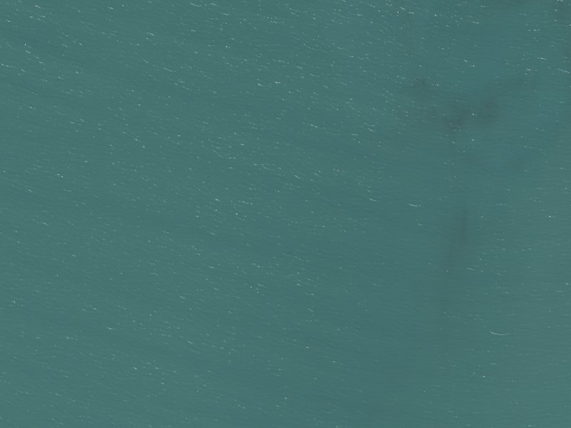 aerial view of Pigeon Bay and the ground around it