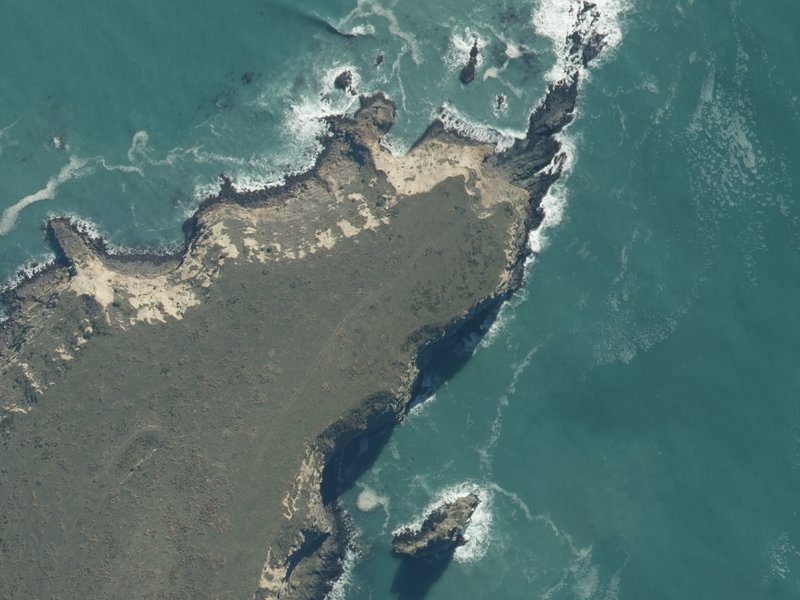 aerial view of Pigeon Point and the ground around it