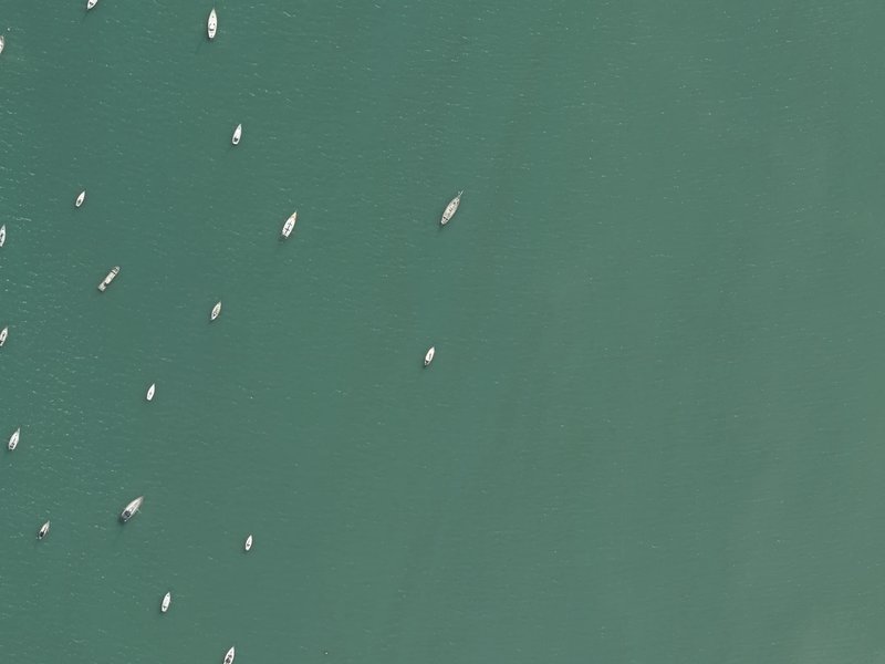 aerial view of Purau Bay and the ground around it