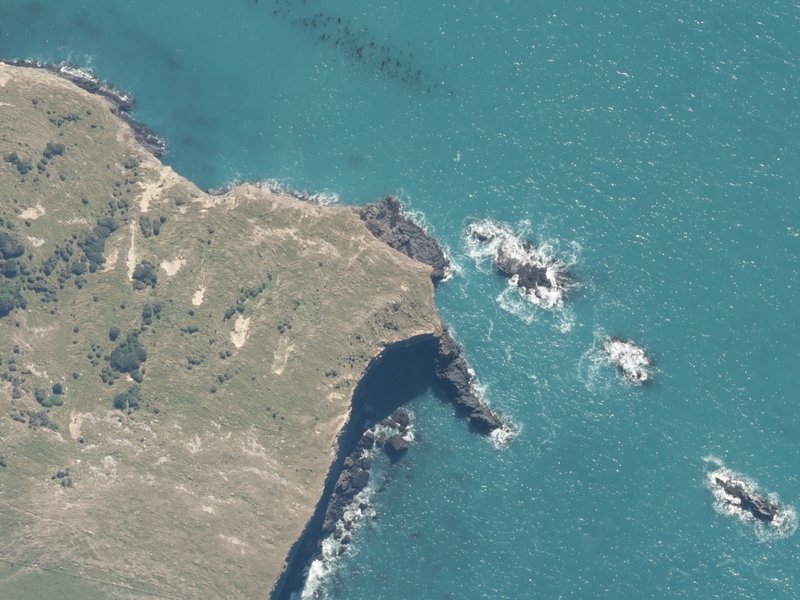 aerial view of Short Reef Point and the ground around it
