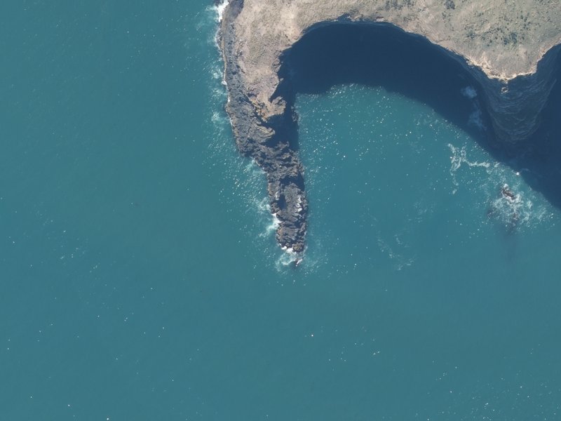 aerial view of Te Ruahine Point and the ground around it