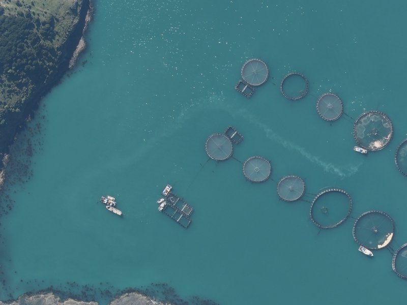 aerial view of Titoki / Little Tikao Bay and the ground around it
