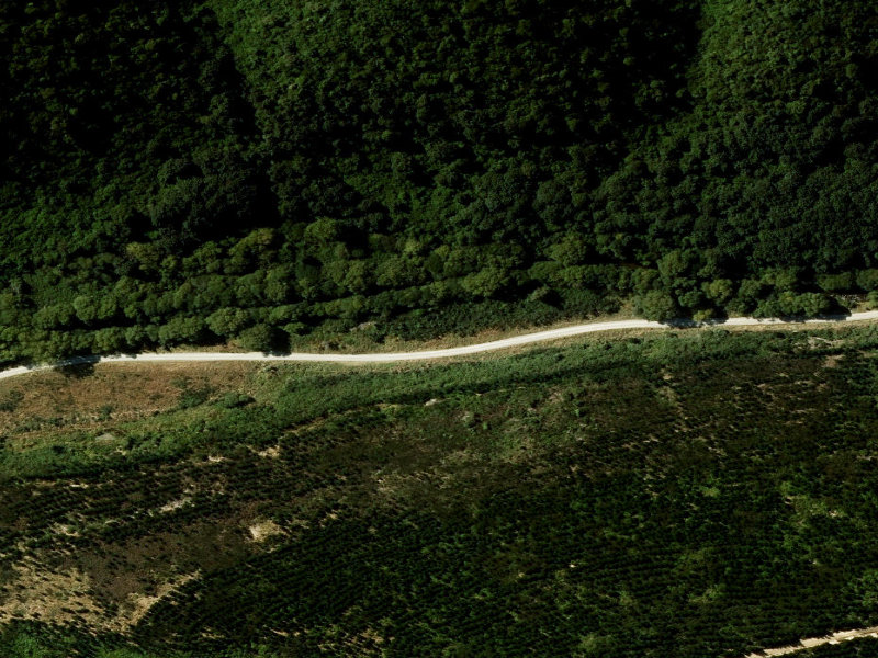 aerial view of Te Moana Gorge Camping Area, Te Moana Road and the ground around it