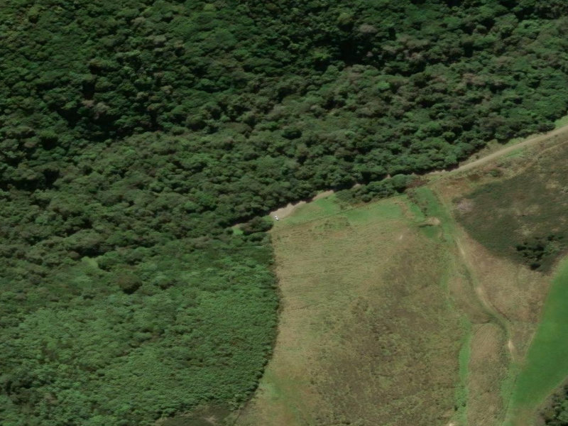 aerial view of Gunn,s Bush and the ground around it