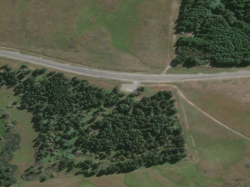aerial view of Burke Memorial and the ground around it