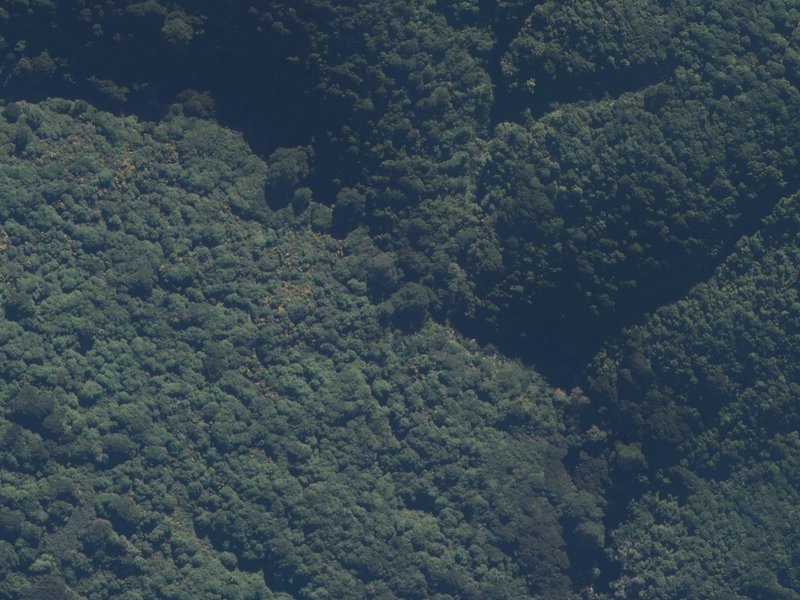 aerial view of Hinewai Falls and the ground around it