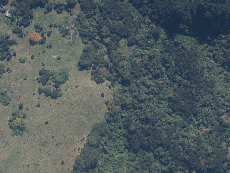 aerial view of Lisa Falls and the ground around it