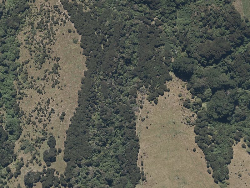 aerial view of Newtons Waterfall and the ground around it