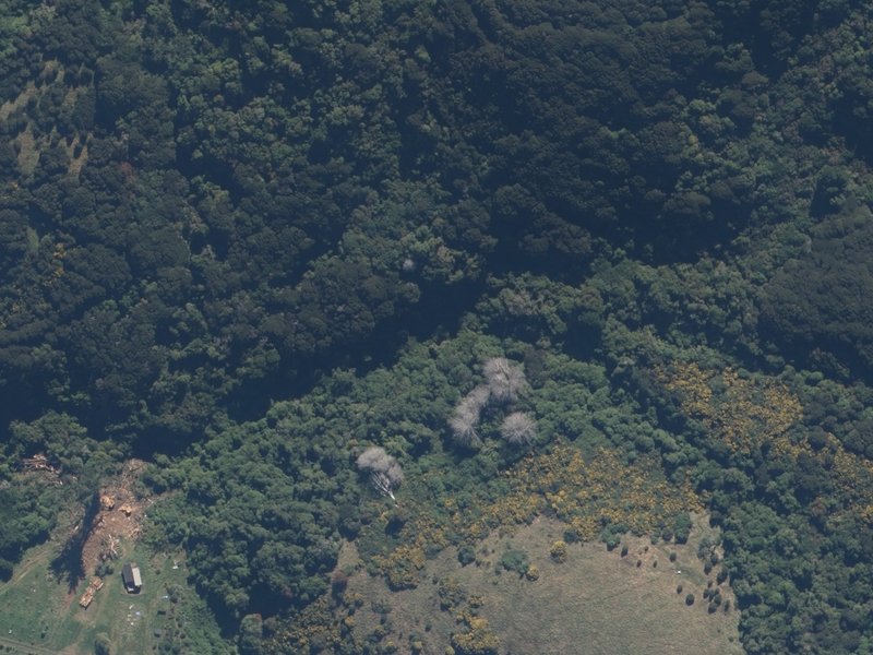 aerial view of Raukawa Falls and the ground around it