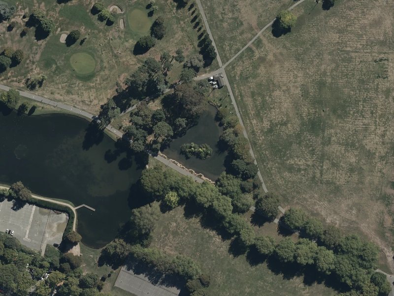 aerial view of Albert Lake and the ground around it