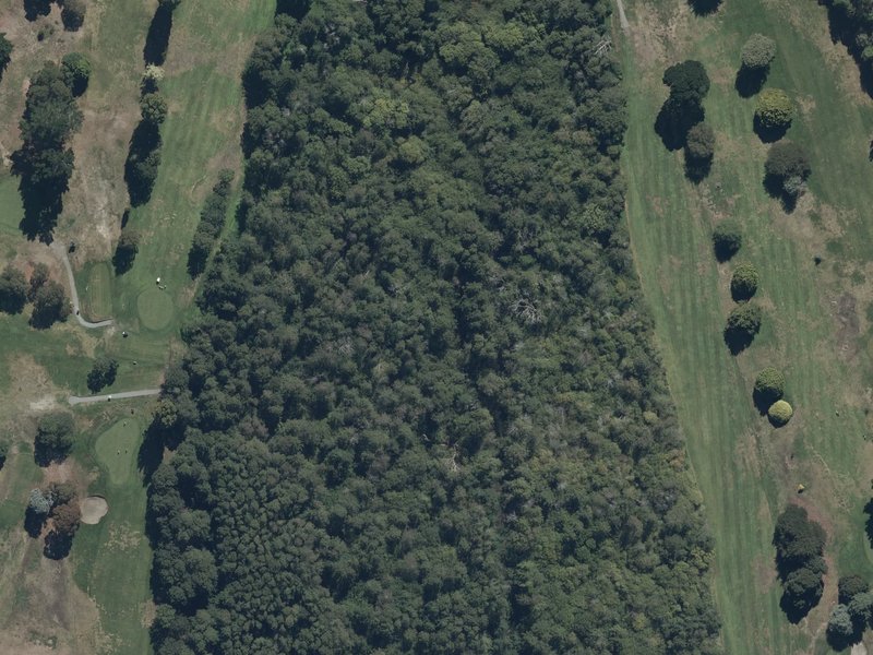 aerial view of Bottle Lake and the ground around it