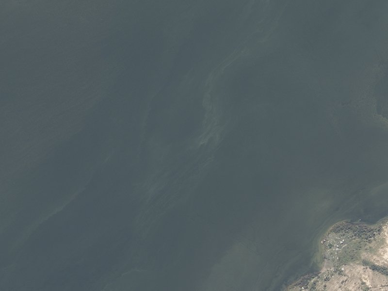 aerial view of Lake Forsyth / Wairewa and the ground around it