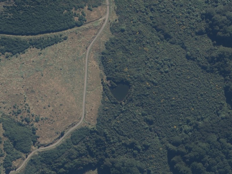 aerial view of Makitaki Pond and the ground around it