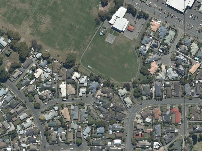 aerial view of Field of Daisies and the ground around it