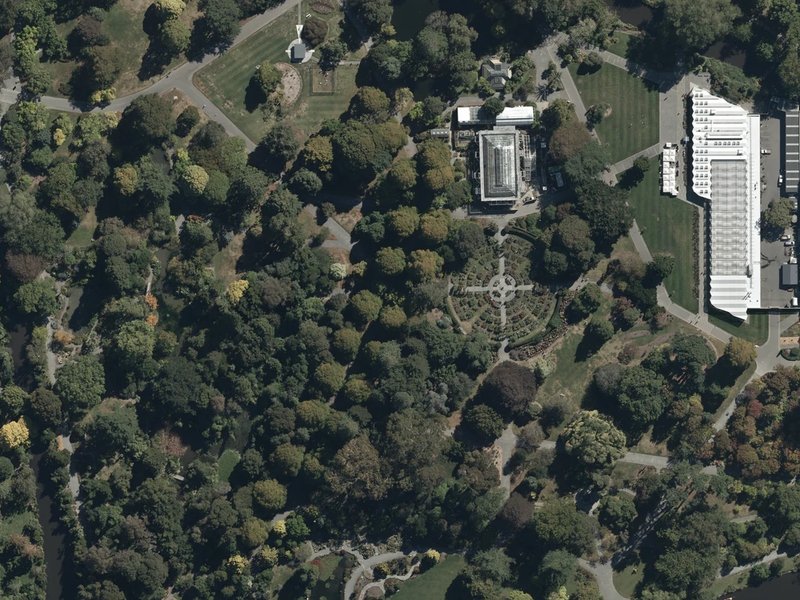 aerial view of Rusty Cabbage Tree and the ground around it