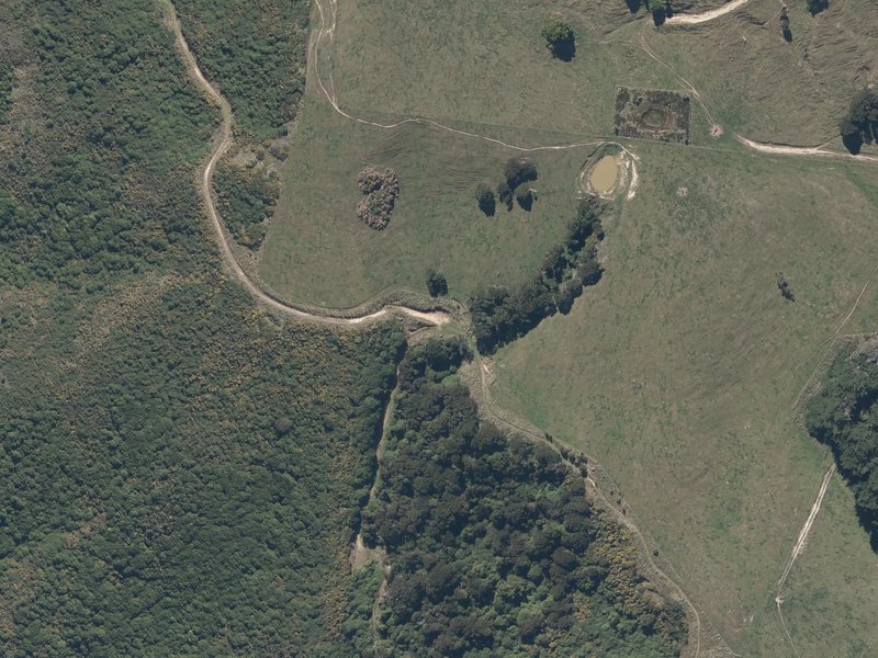 aerial view of Sheep and the ground around it