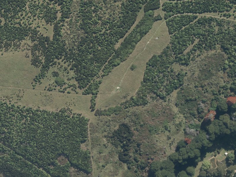 aerial view of Te Hamo o Tū Te Rakiwhānoa and the ground around it