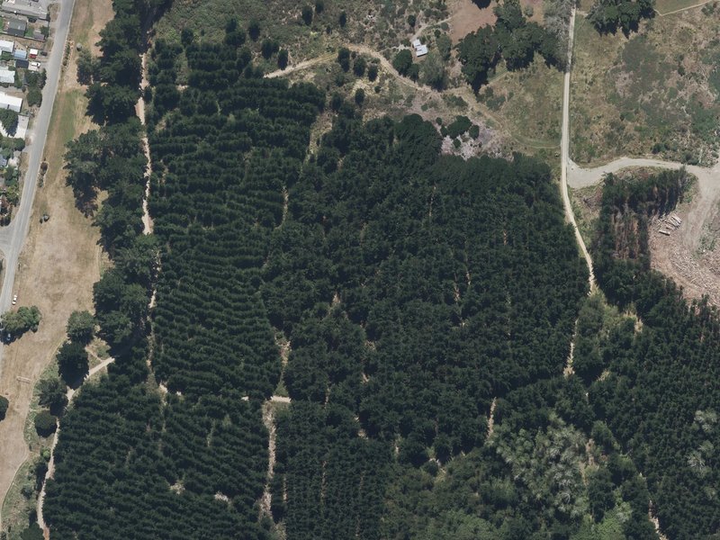 aerial view of Woodend Beach Domain and the ground around it