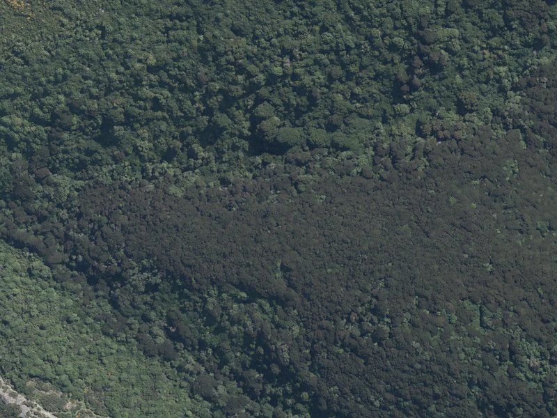 aerial view of Kennedys Bush and the ground around it