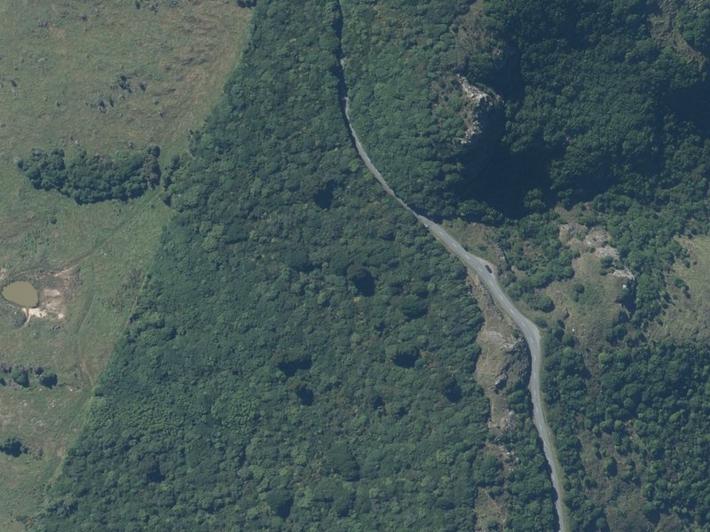 aerial view of Ahuriri Scenic Reserve and the ground around it