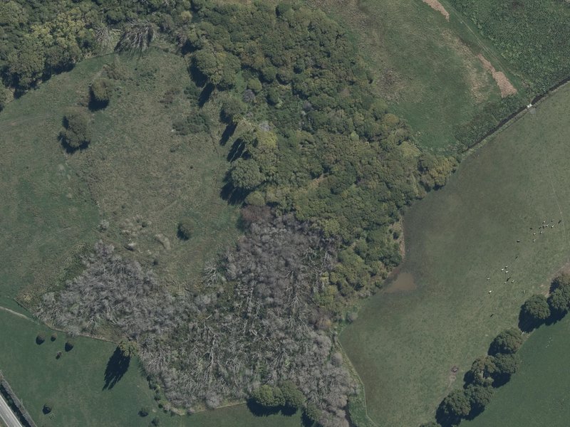 aerial view of Dickeys Reserve and the ground around it