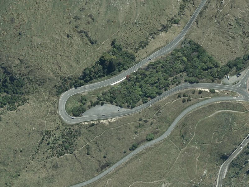 aerial view of Rapanui Bush and the ground around it