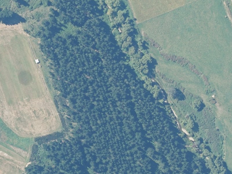 aerial view of Loburn Domain and the ground around it
