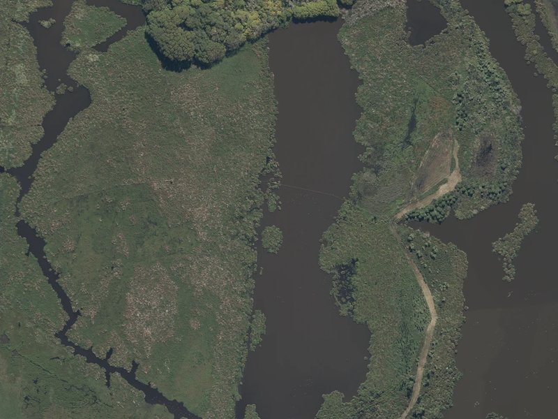 aerial view of Travis Wetland and the ground around it