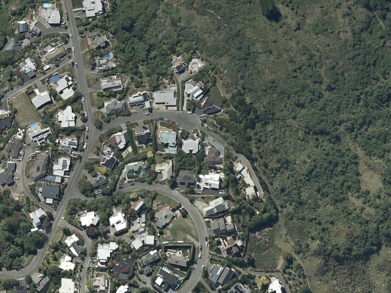aerial view of Longhurst Walkway and the ground around it