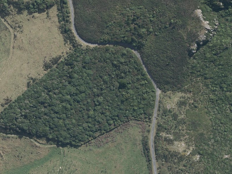 aerial view of Cass Peak and the ground around it