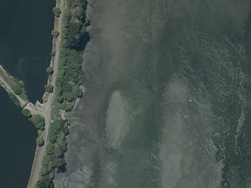 aerial view of Avon And Heathcote Estuary and the ground around it