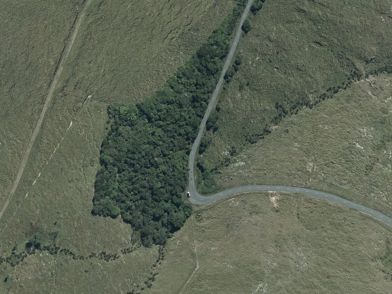 aerial view of Jollies Bush and the ground around it
