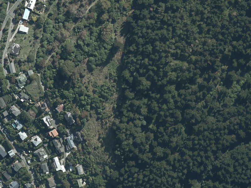 aerial view of Urumau Reserve and the ground around it