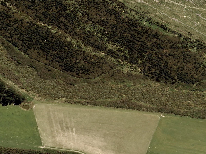 aerial view of Forestdale Wetlands and the ground around it