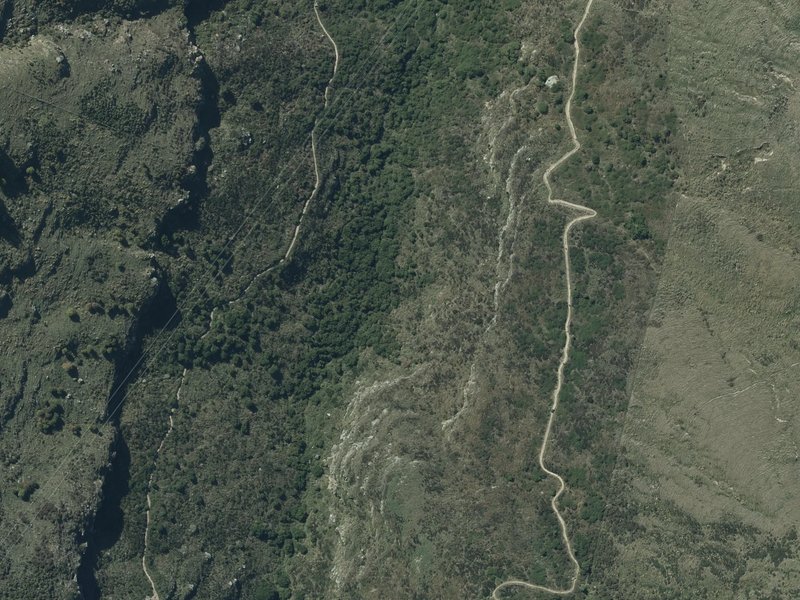 aerial view of Barnett Park Conservation and the ground around it