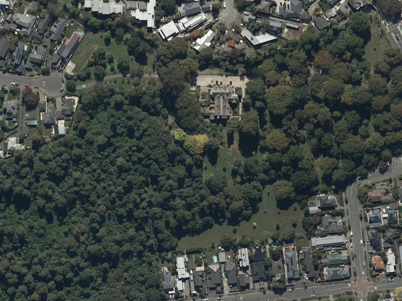 aerial view of Riccarton Bush and the ground around it