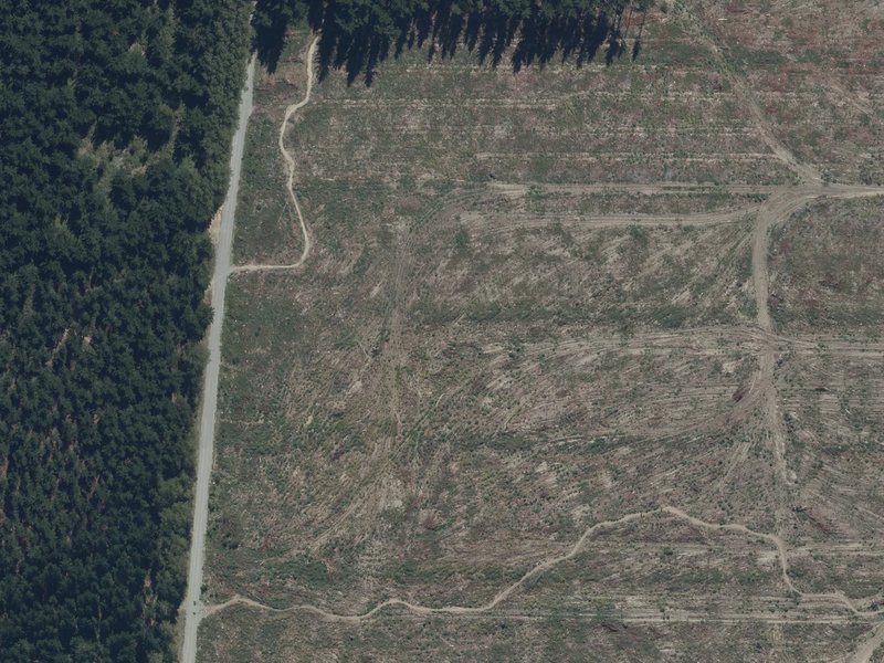 aerial view of Bottle Lake Forest and the ground around it