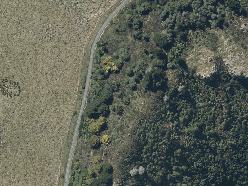 aerial view of Scott Scenic Reserve and the ground around it